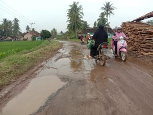 Tak Kunjung Diperbaiki, Akses Jalan Utama di Pekon Jati Agung Dikeluhkan Warga