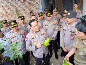 Kakorbinmas Baharkam Polri Tinjau UMKM Budidaya Tanaman Alpukat Milik Bhabinkamtibmas Polres Lamtim