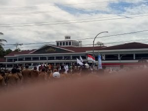 PPDI Pesisir Barat Gelar Demonstrasi Tuntut Gaji Yang Belum Terbayarkan