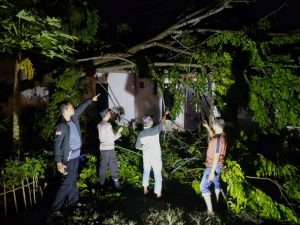 Rumah Warga Desa Tegal Ombo Tertimpa Pohon, Akibat Hujan Lebat Disertai Angin Kencang