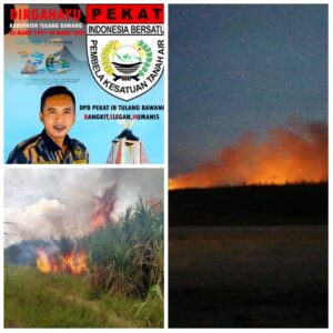 Bakar Lahan Tebu, Perusahaan SGC Tulangbawang Cemari Lingkungan