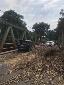 Gunakan Jalan Umum, Diduga Mobil Pengangkut Tebu PT. BNIL Tumpahkan Muatan.