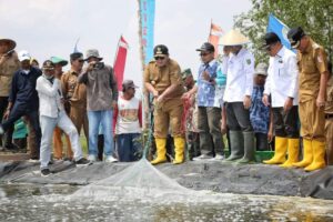 Ke Rawajitu Arinal Djunaidi Panen Udang Dan Serahkan Dua Alat Ini