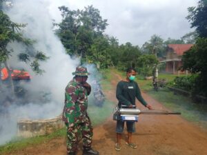 Cegah Perkembangbiakan DBD, Babinsa Bersama UPTD Puskesmas Wana Laksanakan Fogging