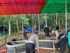 Polres Tulang Bawang Gerebek Dua Lokasi Judi Sabung Ayam di Areal Perkebunan Karet